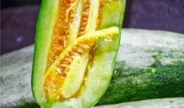 网红吃瓜网,揭秘娱乐圈幕后真相，带你领略明星生活百态