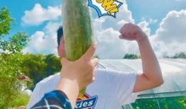 155网红吃瓜,揭秘娱乐圈幕后真相